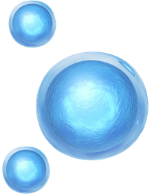 Stem cells