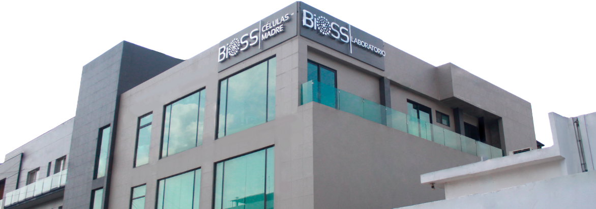 BIOSS Stem Cells clinic facilities in Monterrey