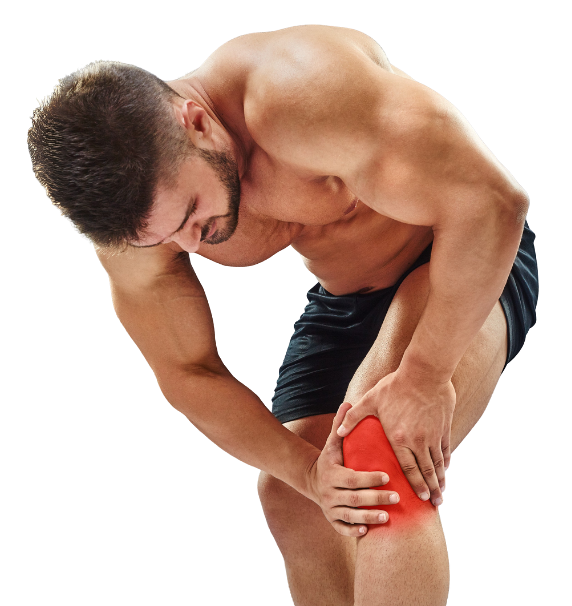 Terapia celular para lesiones y desgaste articular en BIOSS