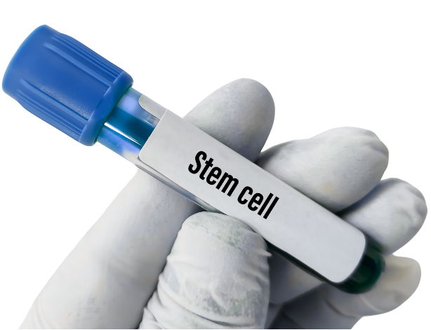 Stem cell illustration
